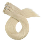 Clip in Human Hair Extensions