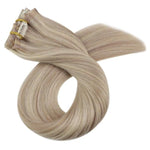 Clip in Human Hair Extensions